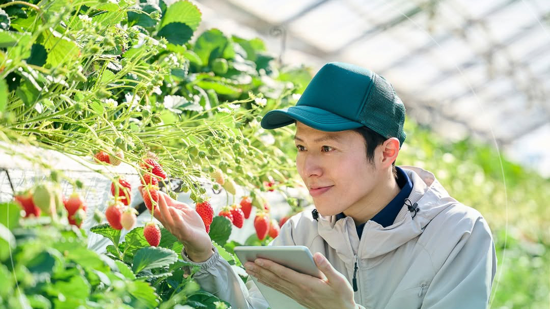 Agriculture
