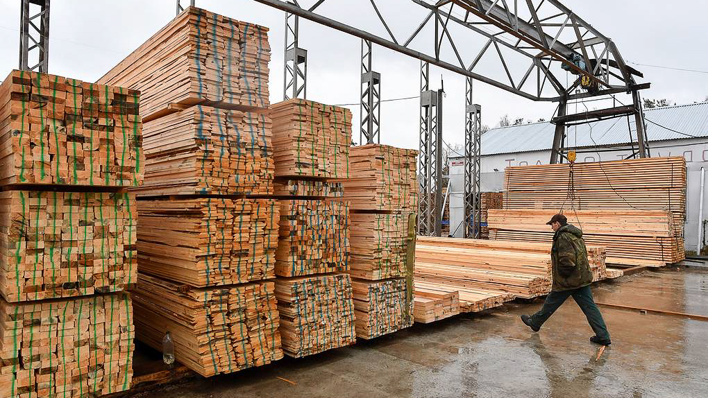 Timber Industry