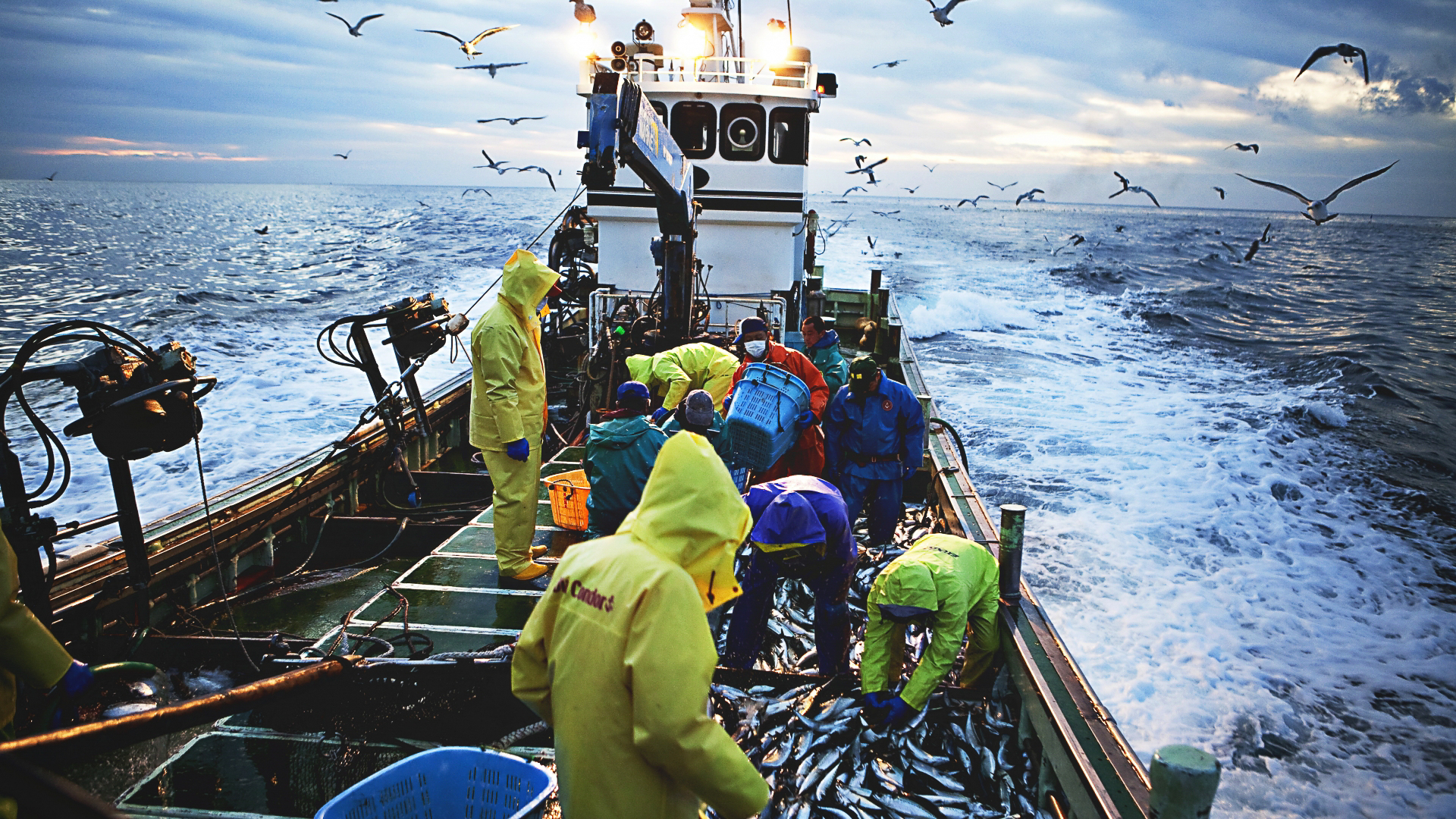 Fishery and Aquaculture